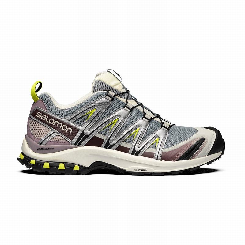 Zapatillas Trail Running Salomon Hombre Plateadas / Verde Claro - Salomon Argentina XA PRO 3D ,41760